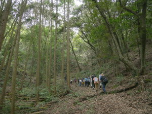 9月27日（土）「出張YAMAOSM」を武雄市のOND PARKにて開催しました！